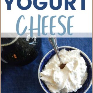 yogurt cheese in a blue bowl
