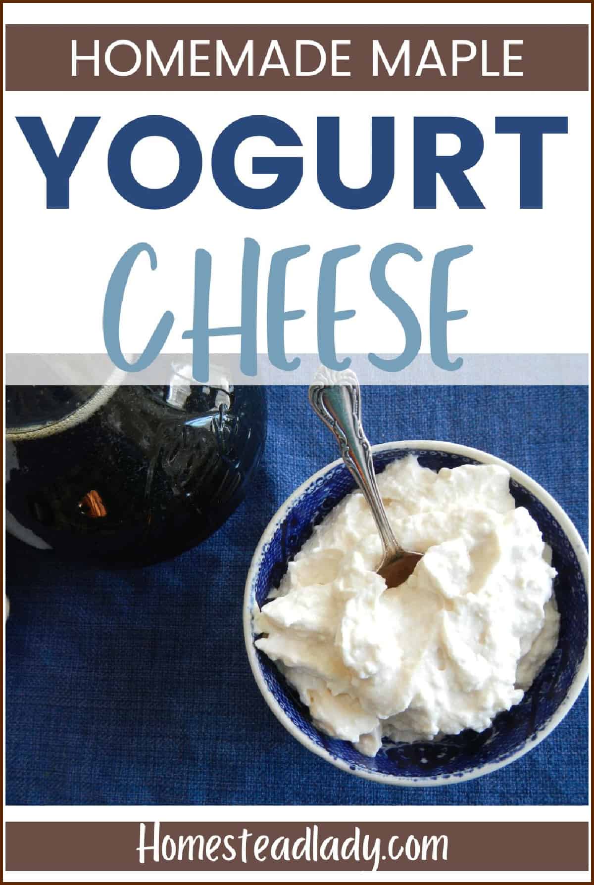 yogurt cheese in a blue bowl
