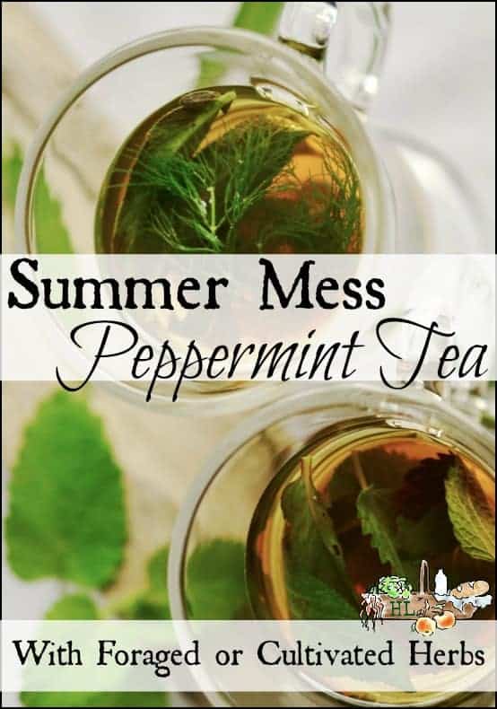 Summer Mess Peppermint Tea l With foraged, wildcrafted, garden grown, cultivated herbal combination l Homestead Lady.com