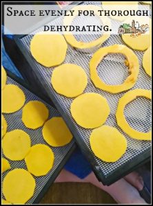 Dehydrating pumpkin l Homestead Lady.com