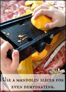 How to Dehydrate Pumpkin l Homestead Lady.com