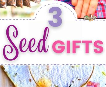 seed paper, seed medallion, saved seeds