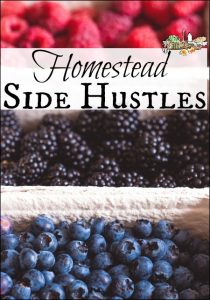 Homestead Side Hustles l Over 25 ideas on making money on the homestead l Information, advice, tips and troubleshooting l Homestead Lady.com
