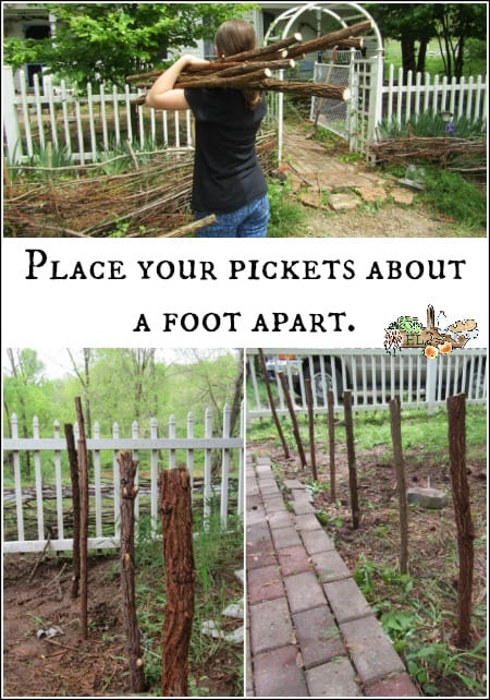 wattle fence pickets about one foot apart