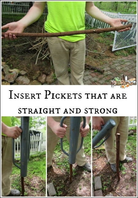 wattle fence picket length and driving it into the ground