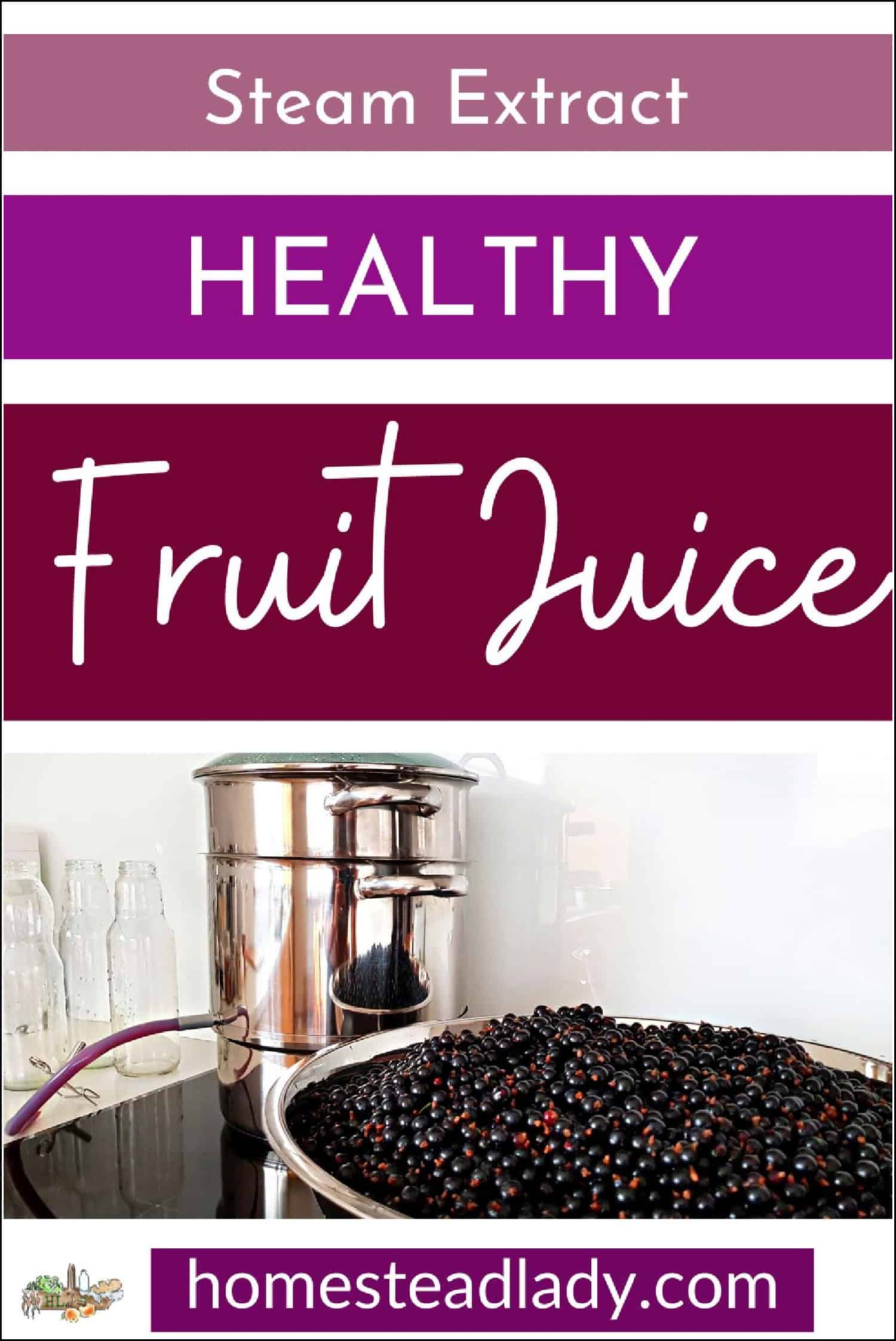 steam juicer, bowl of grapes, glass jars on a table