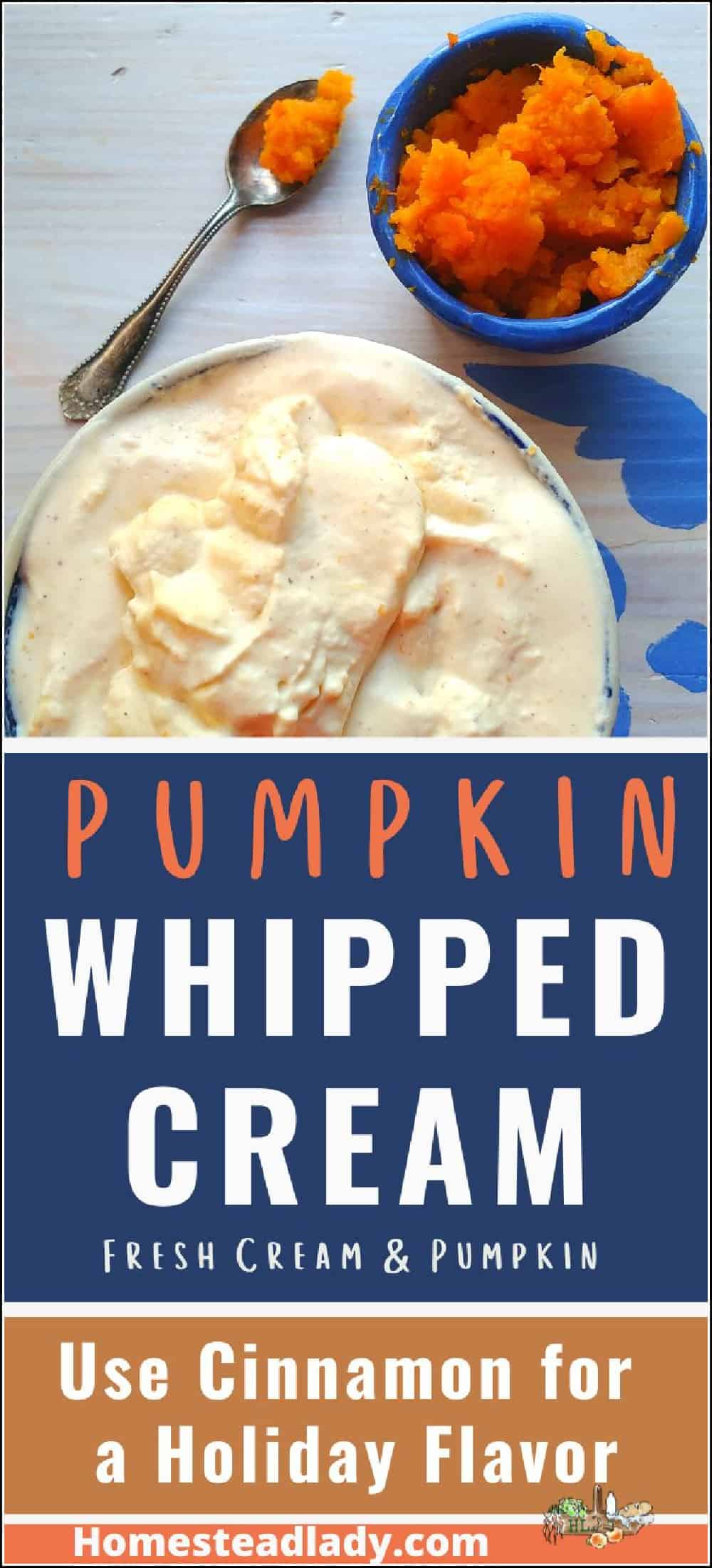 cinnamon pumpkin whipped cream in a dish on a table