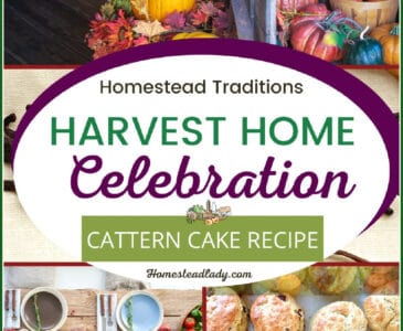 harvest scenes and cattern cakes