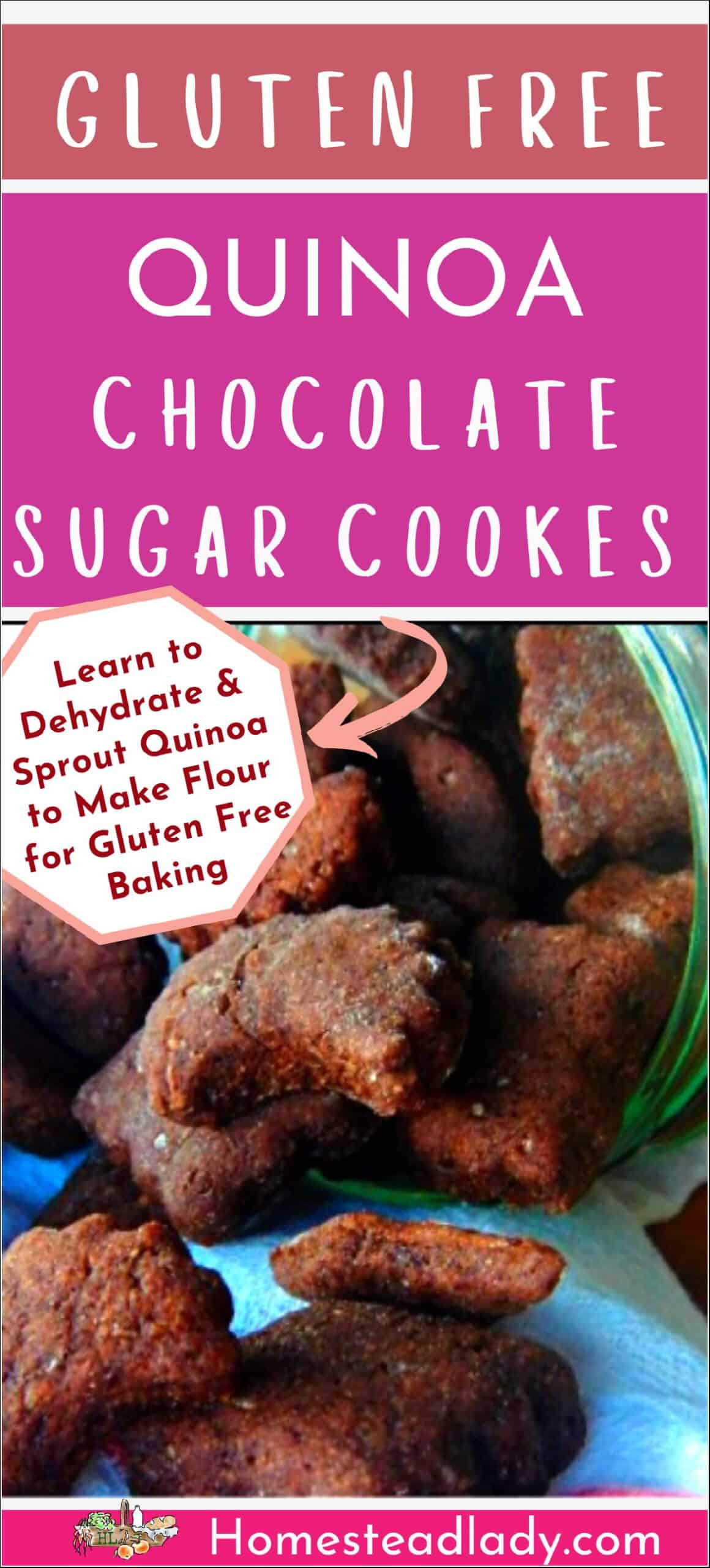 quinoa dark chocolate cookies on a table with a jar