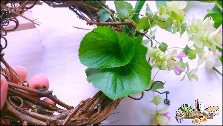 herbal leaves and flowers on grape vine wreath