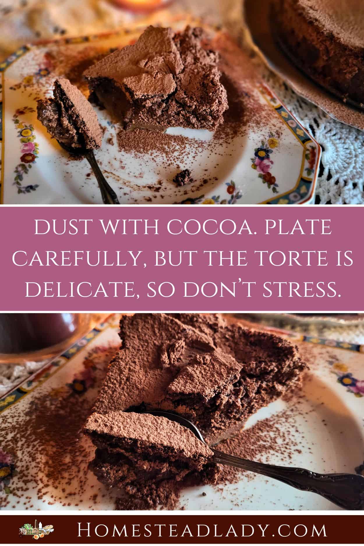 plated elderberry chocolate torte on a flowered plate with cocoa on top