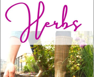 person planting seeds in an herb garden