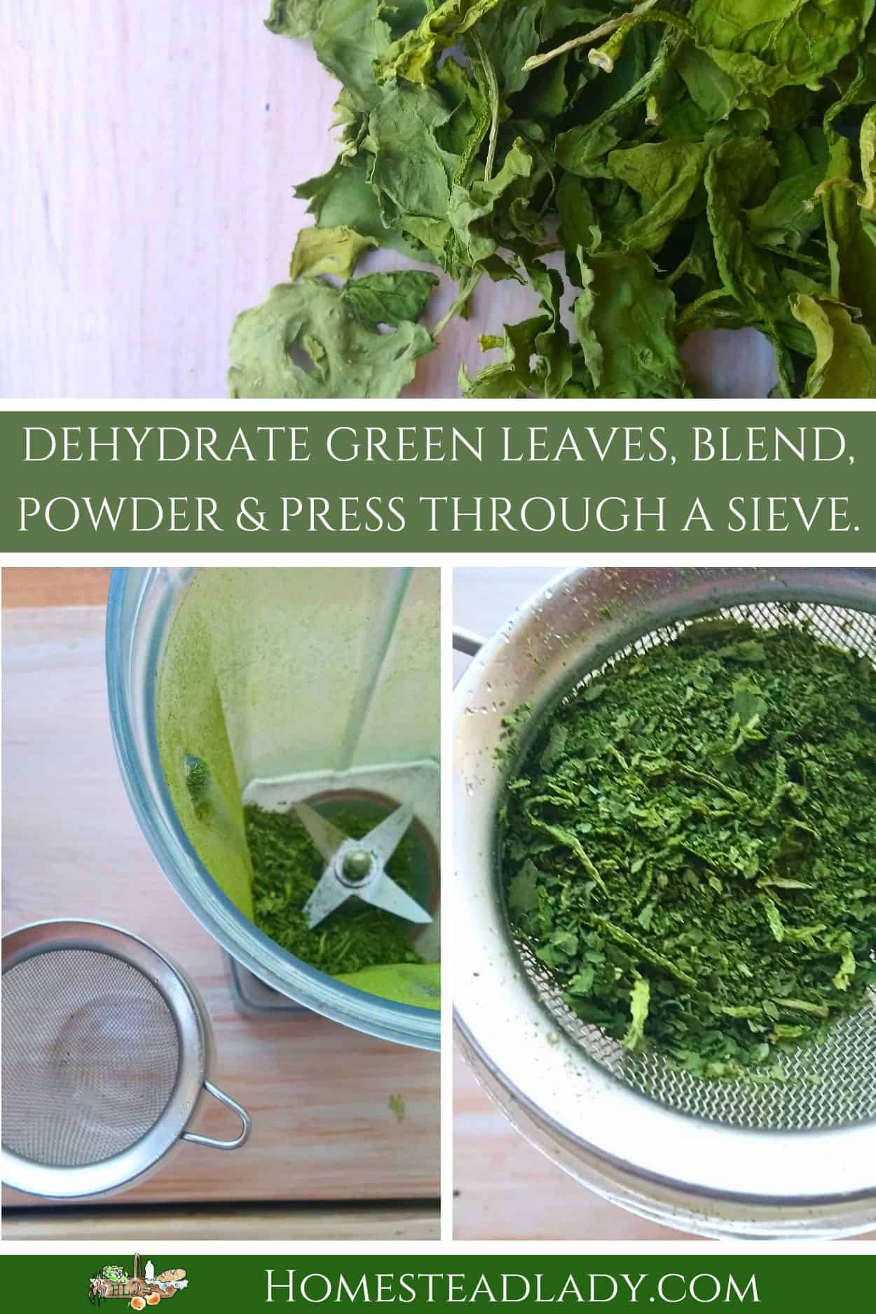dehydrated greens powdered in a blender body