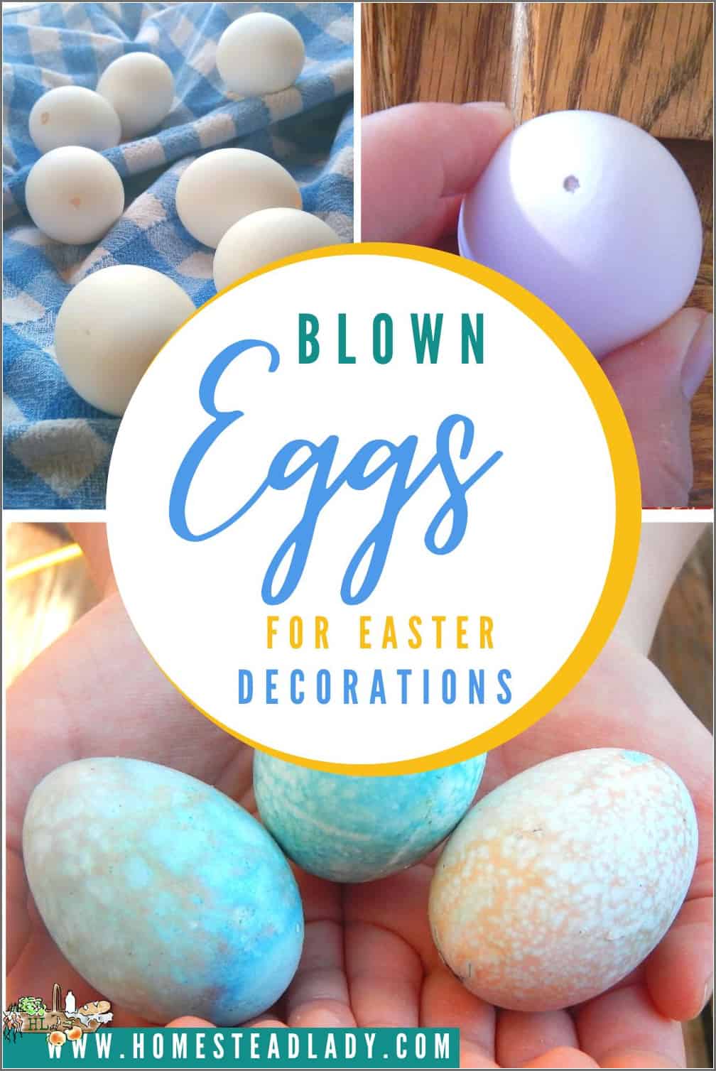 blown (hollowed out) eggshells and decorated eggs