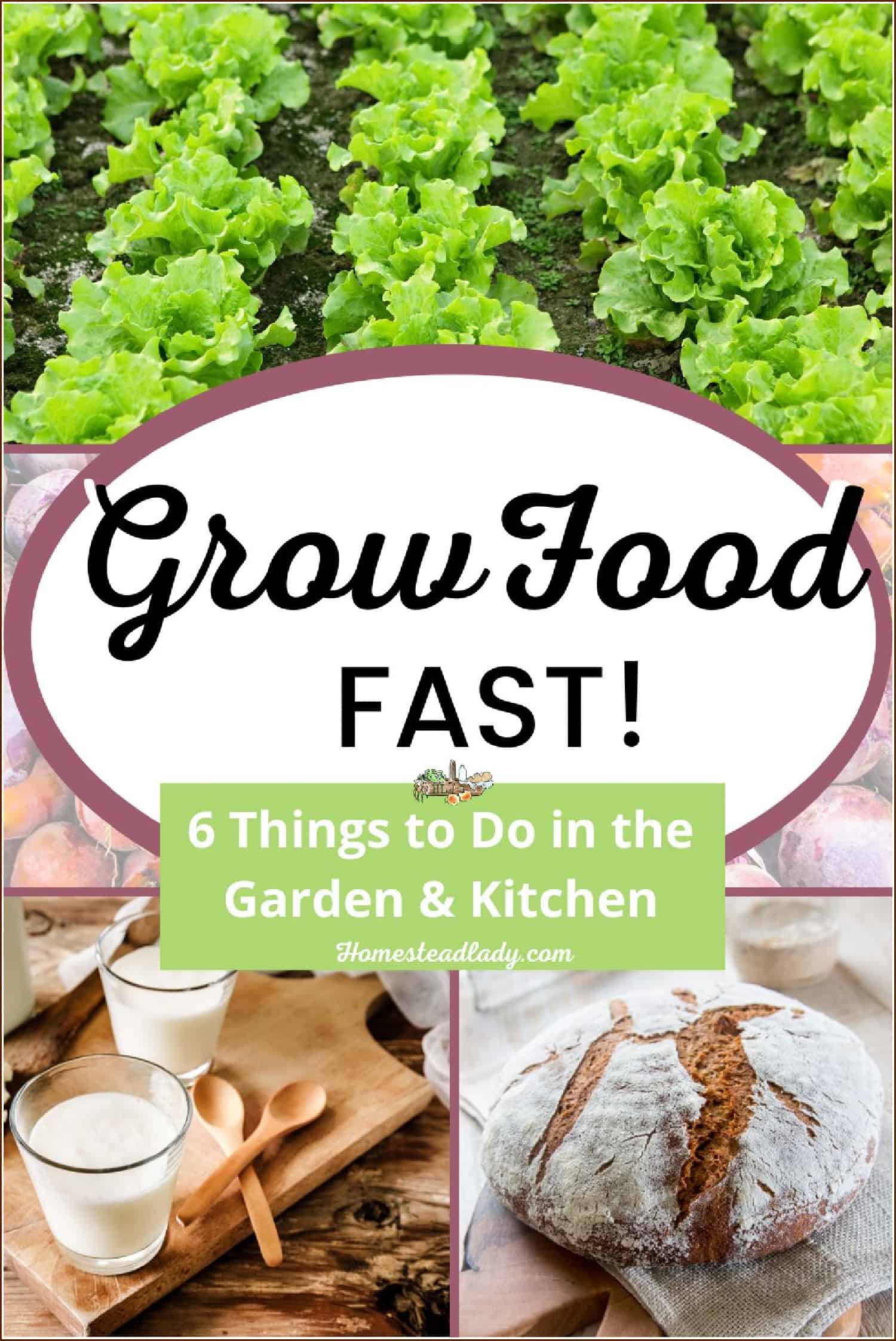 sourdough bread, milk kefir, lettuce