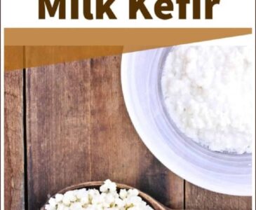 milk kefir in a bowl