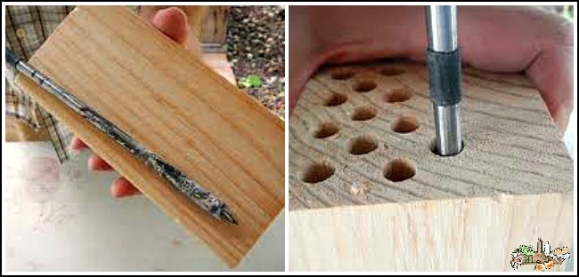 building mason bee house