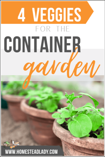 potted vegetable plants