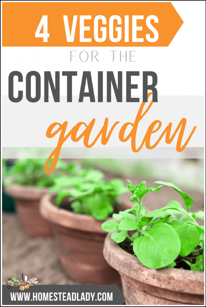 potted vegetable plants