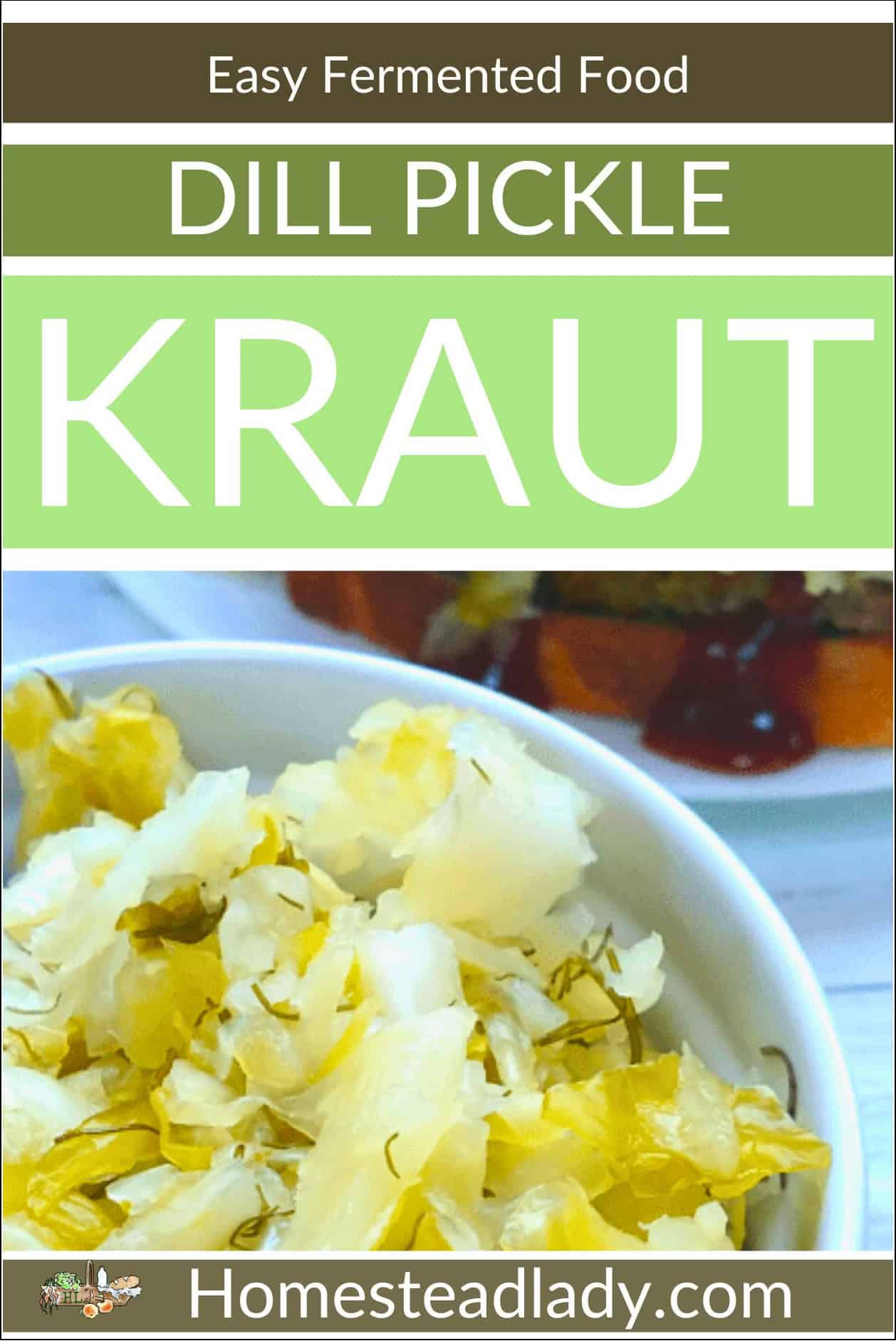 dill pickle kraut in a white bowl