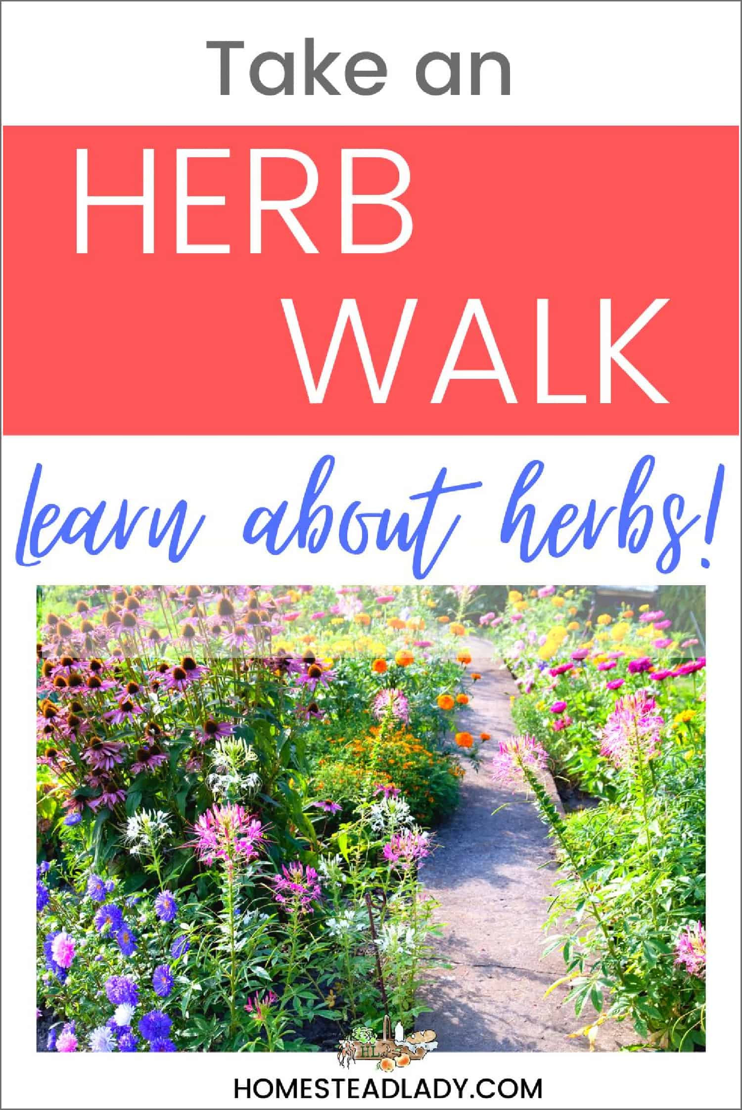 herb garden walkway