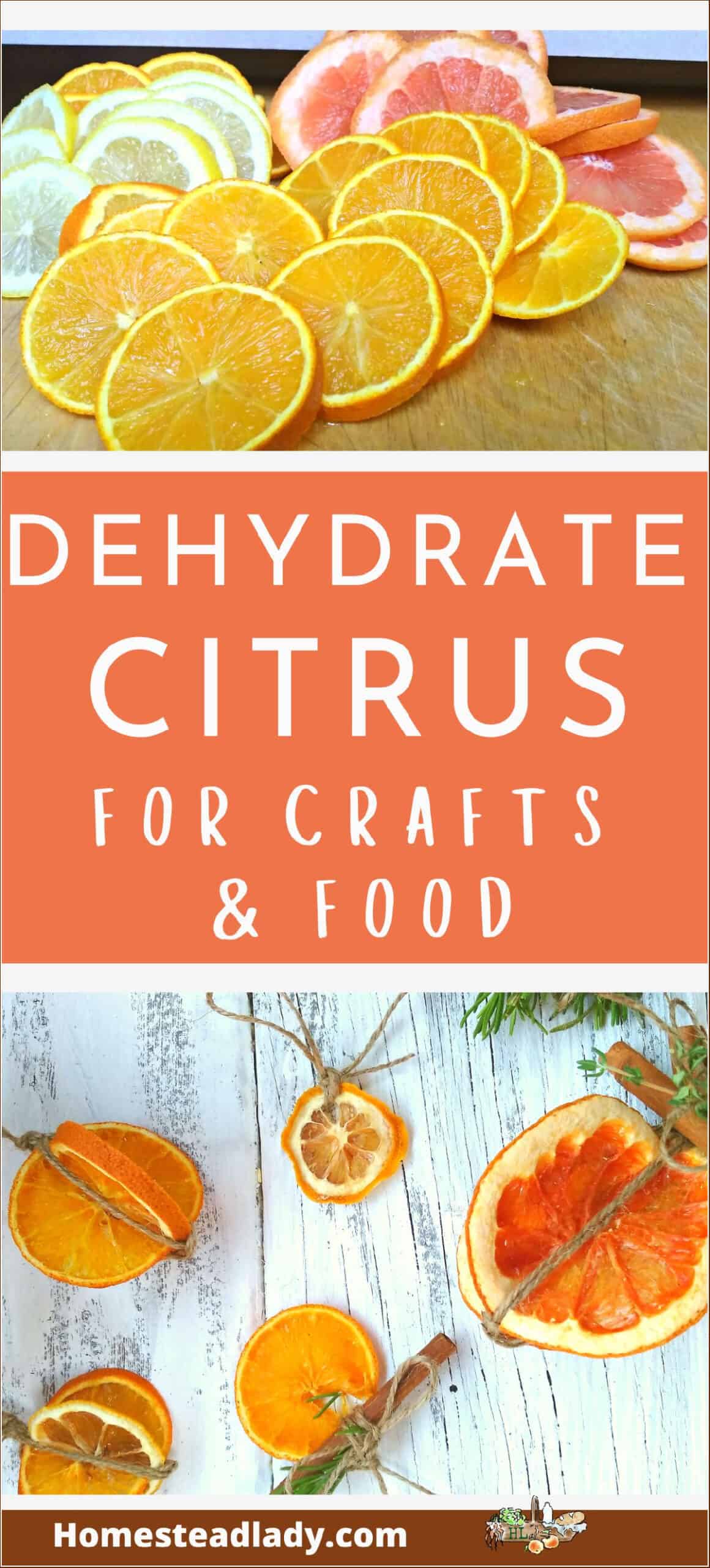 fresh citrus slices on a table; dehydrate citrus slice ornaments with herbs