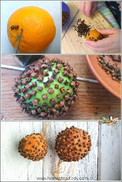 clove orange and clove apple