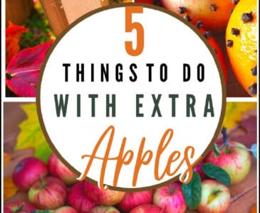 Apples, apple pomanders, and Jam