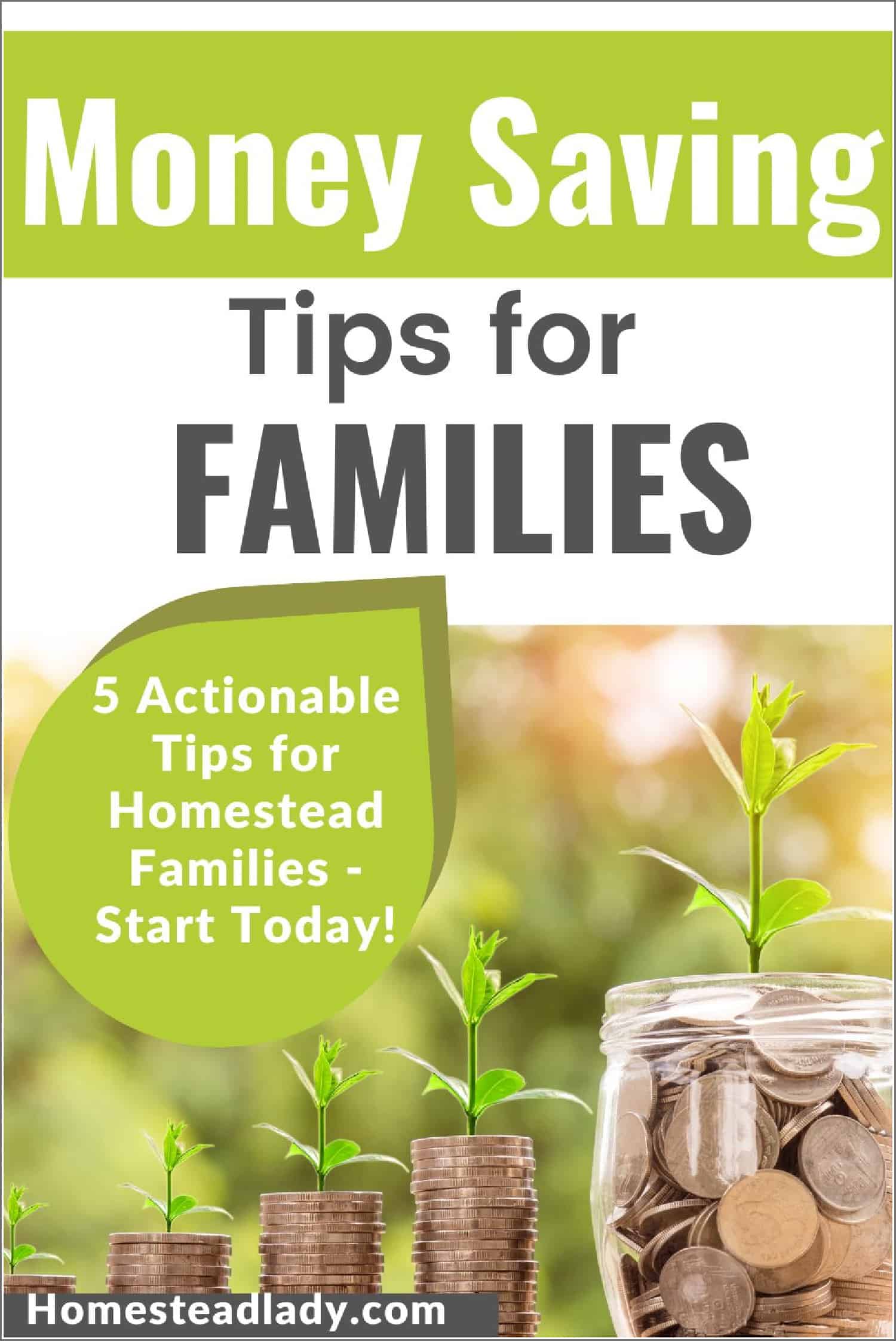 stacked coins with small plants, decorative