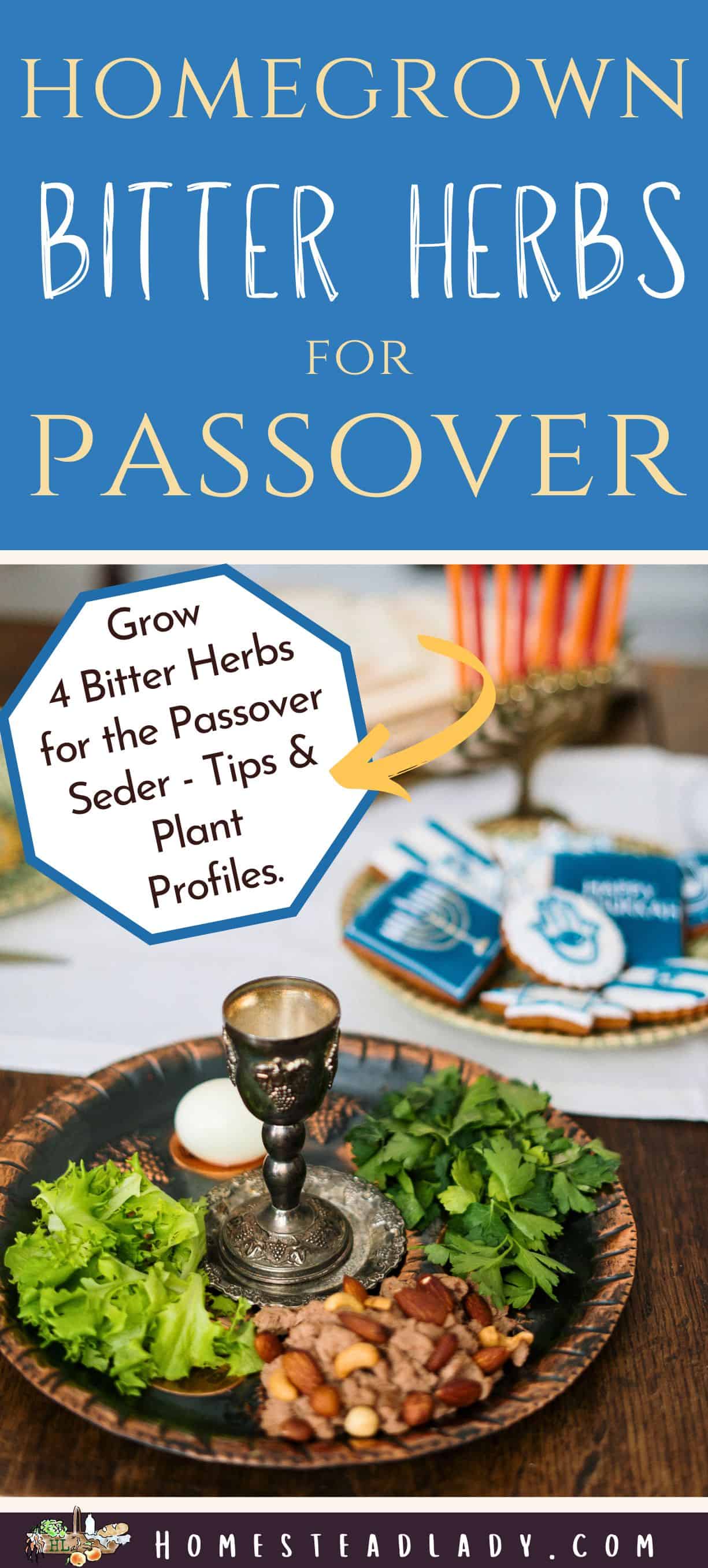 bitter herbs for Passover on a Seder plate on a table