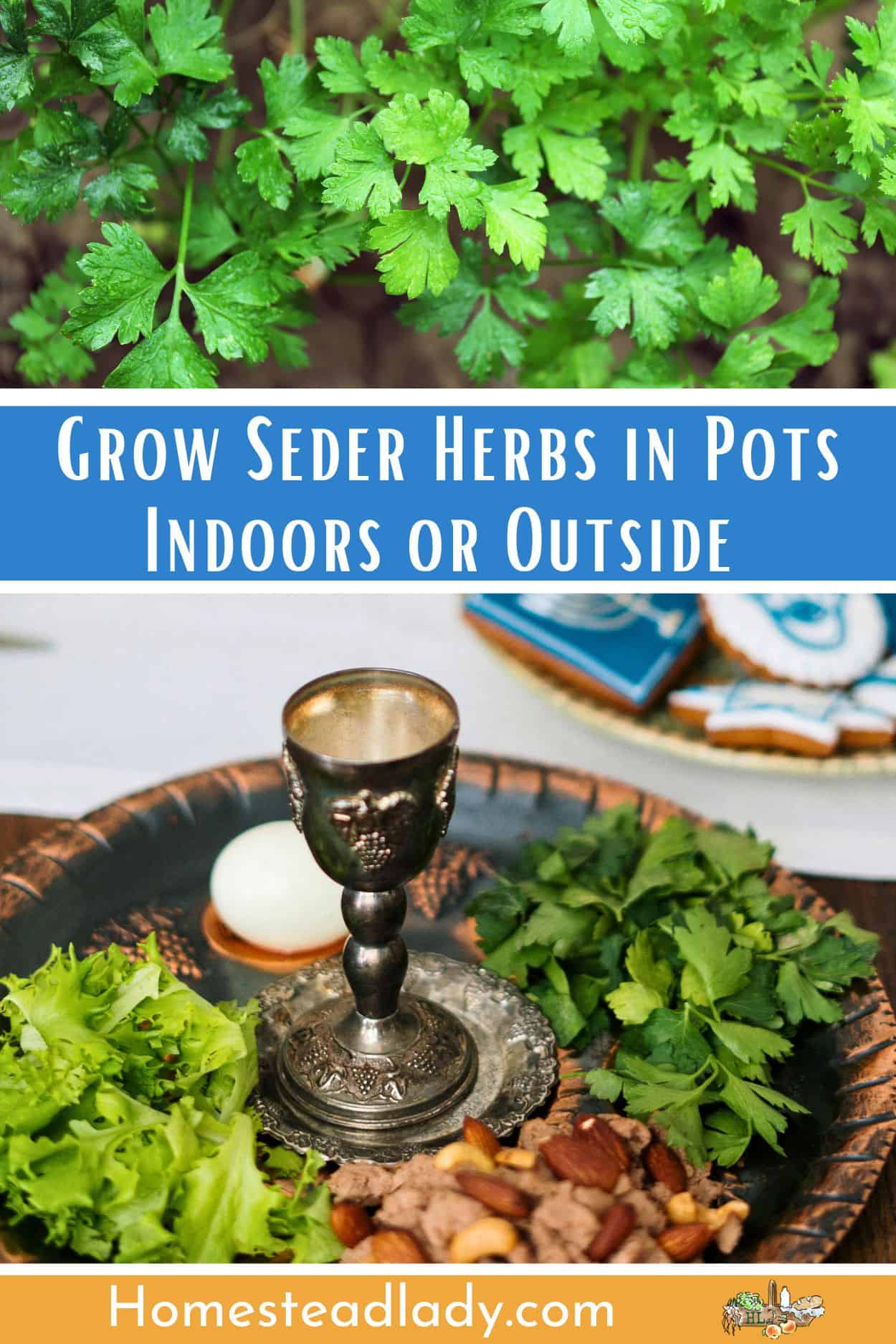 a seder plate with bitter herbs on a silver platter