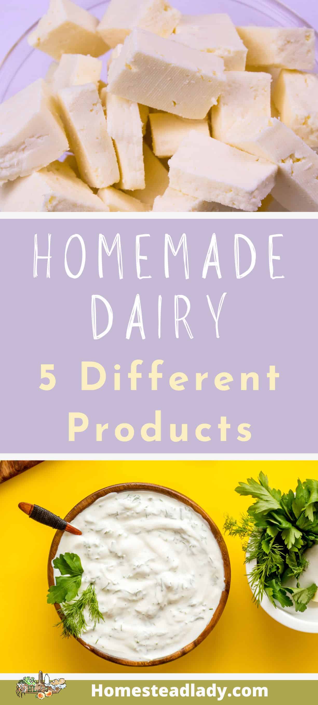 Homemade dairy sour cream and paneer
