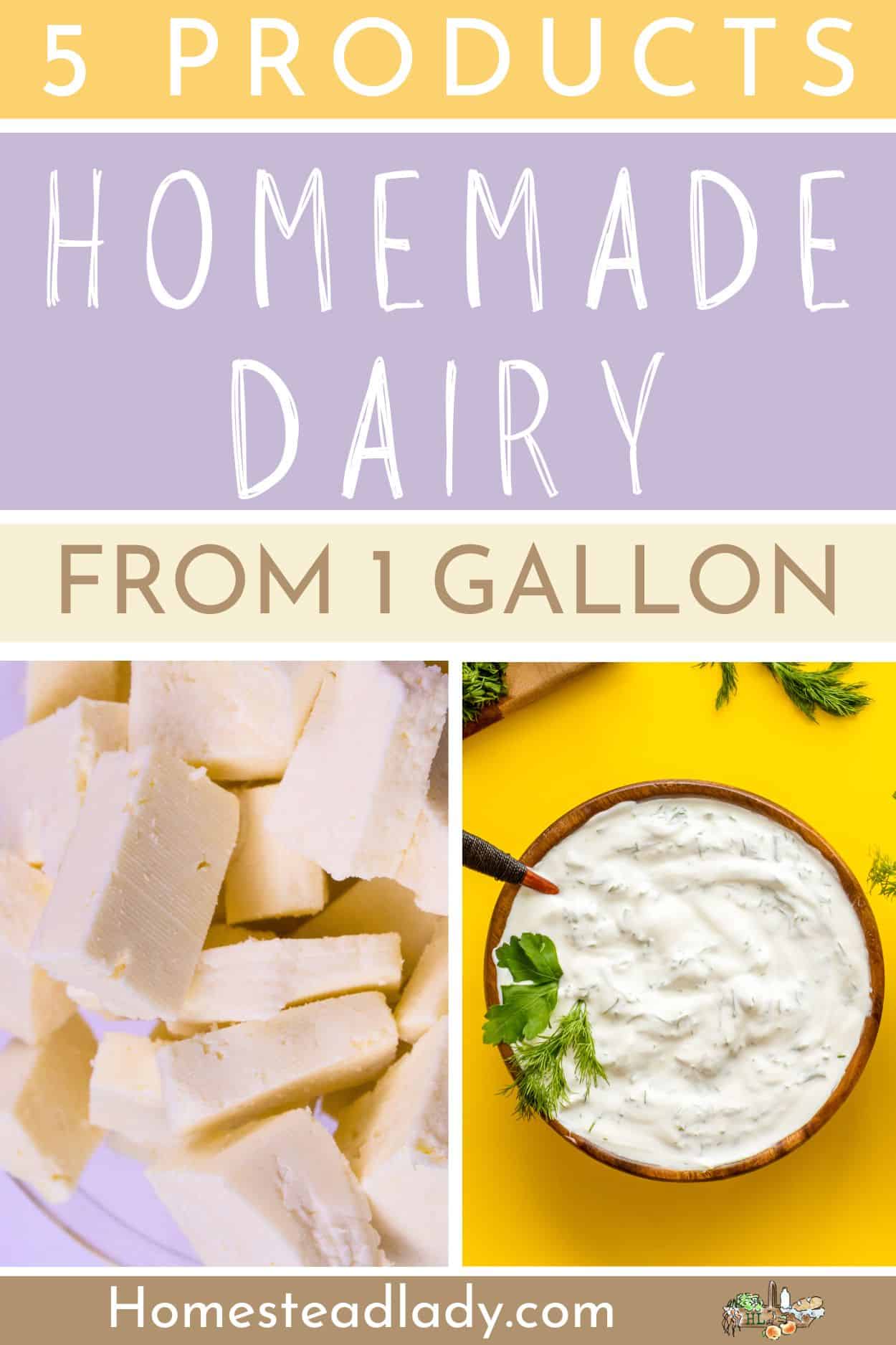 homemade dairy paneer and sour cream in a bowl