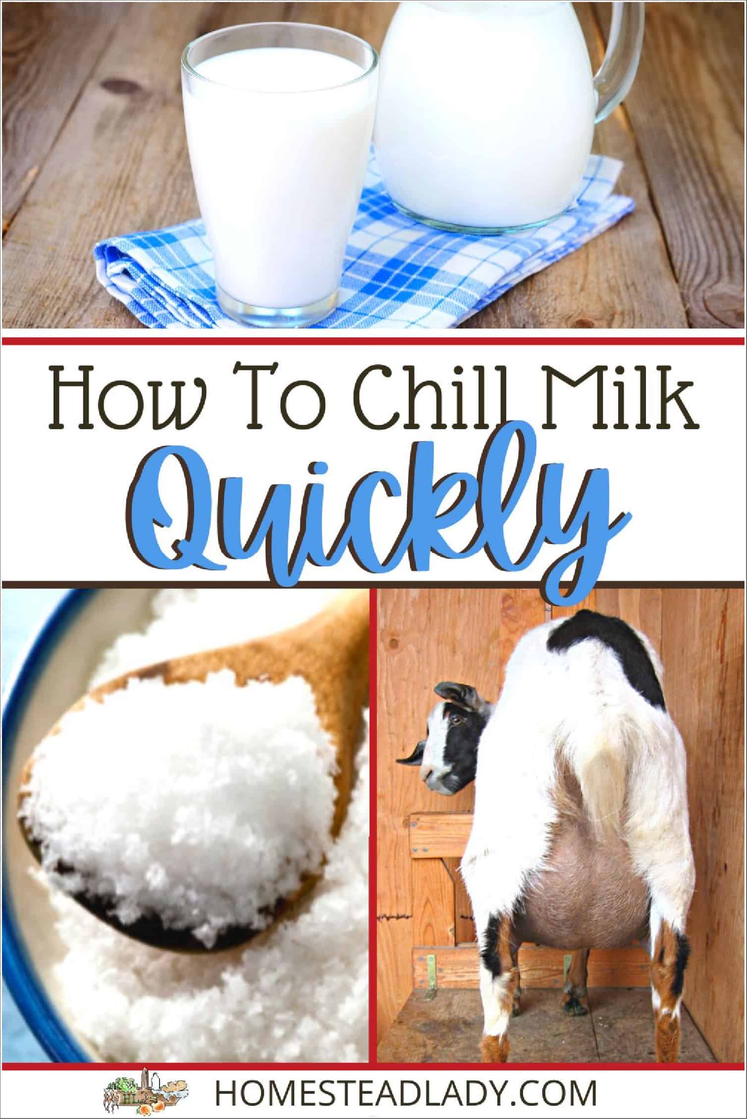 salt, goat, milk