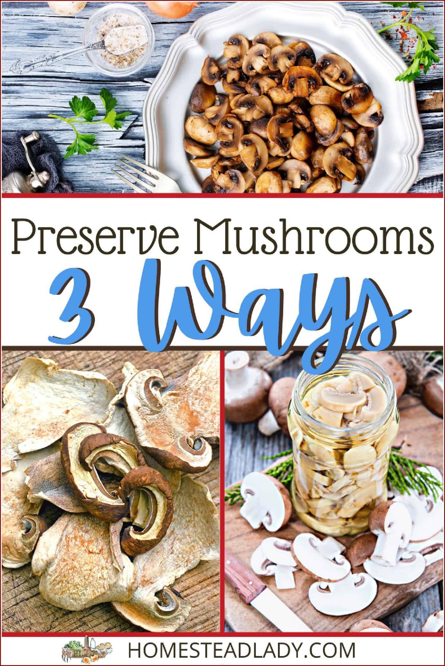 multi image, canned mushrooms in a jar, dried mushrooms on a table, sliced mushrooms in a dish