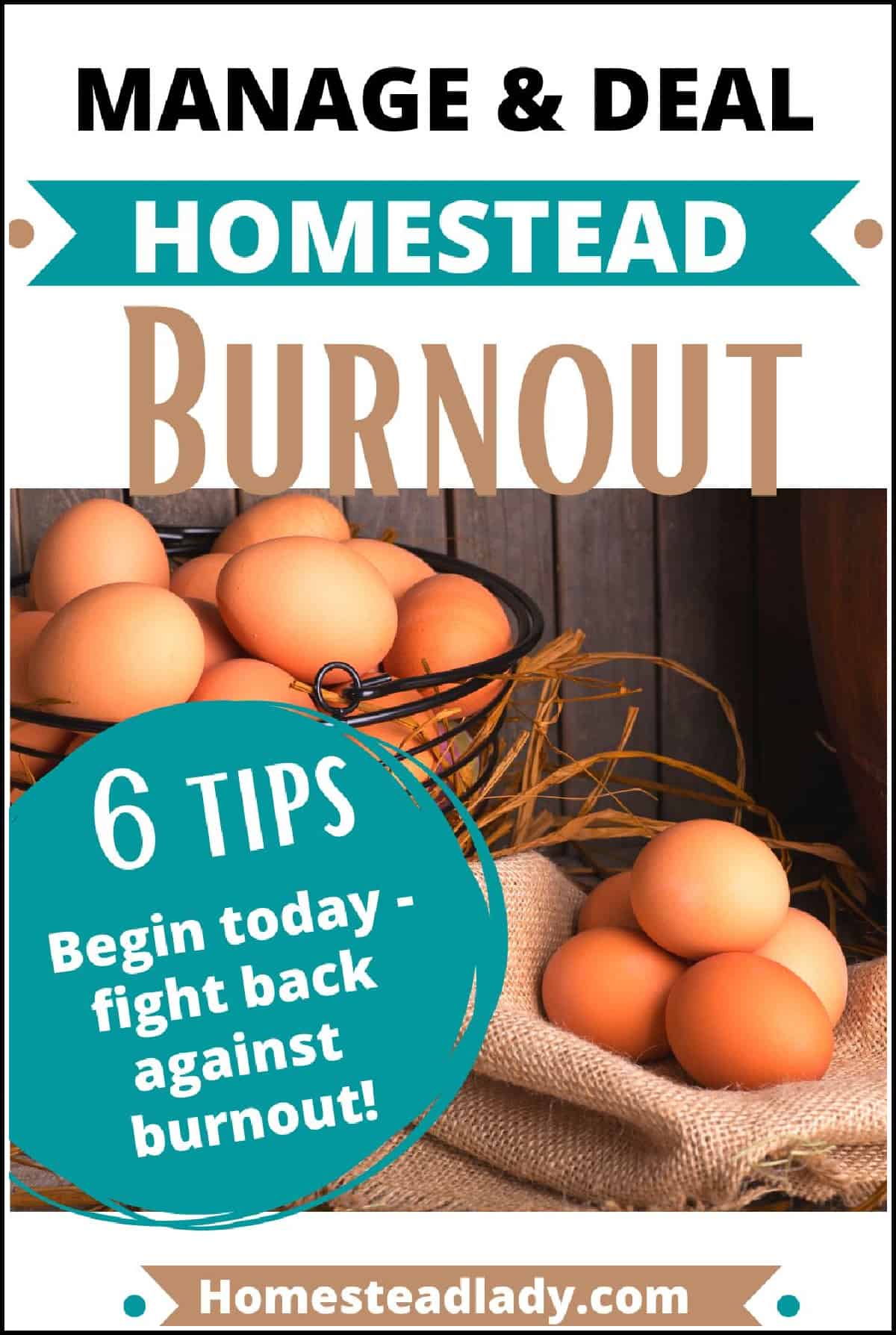 brown eggs in basket and bowl