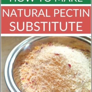 apple pectin powder
