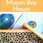 mason bee house on a table