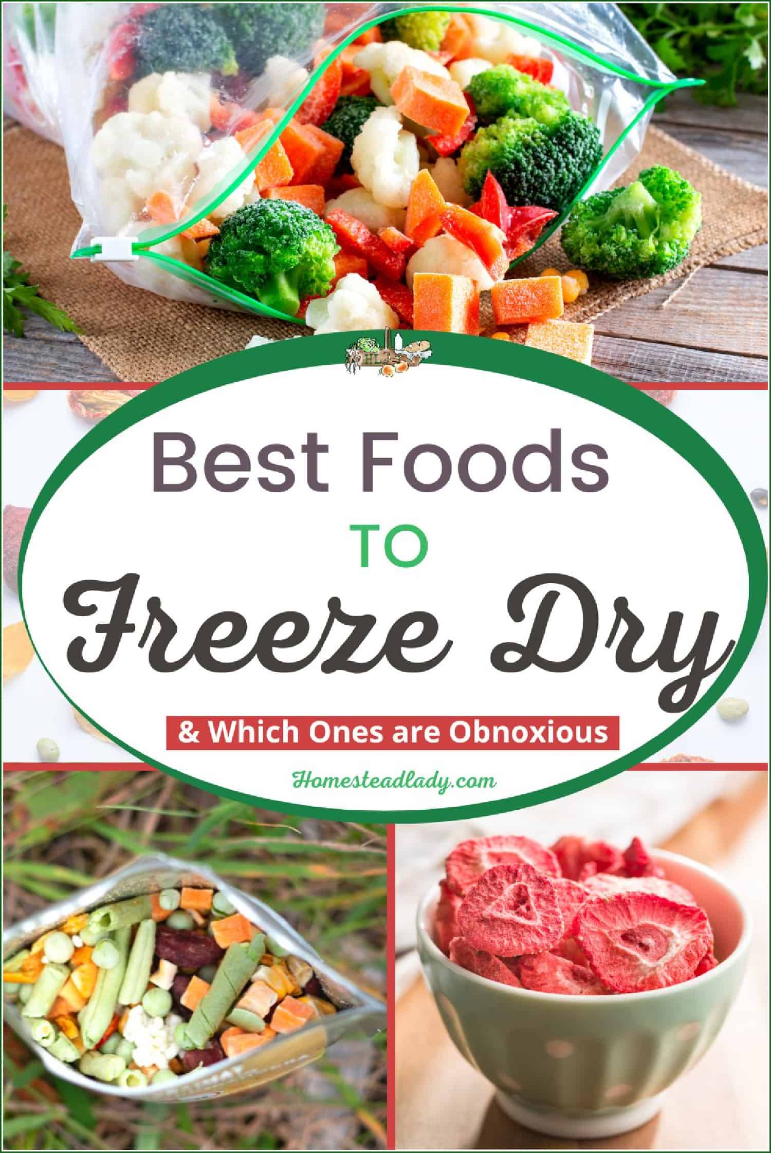 mixed fresh veggies, freeze dried strawberries, freeze dried mixed veggies