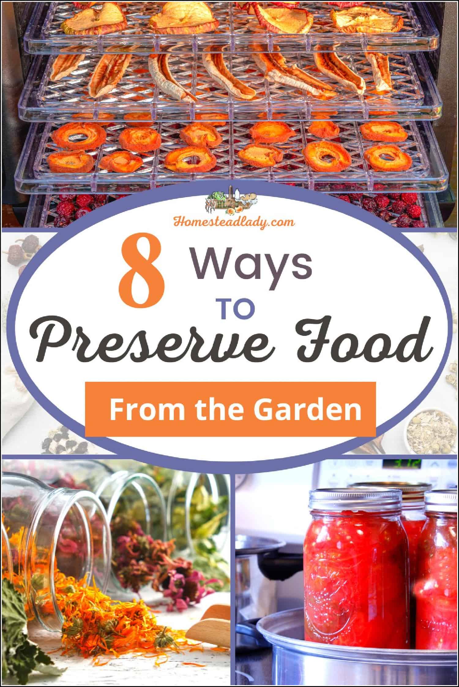 dried herbs in jars, canned food in jars, dried food on dehydrator racks