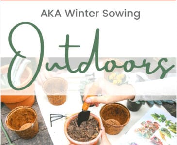 pots on a table with seeds