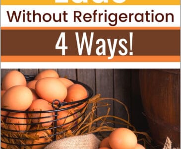 eggs in a basket on a table