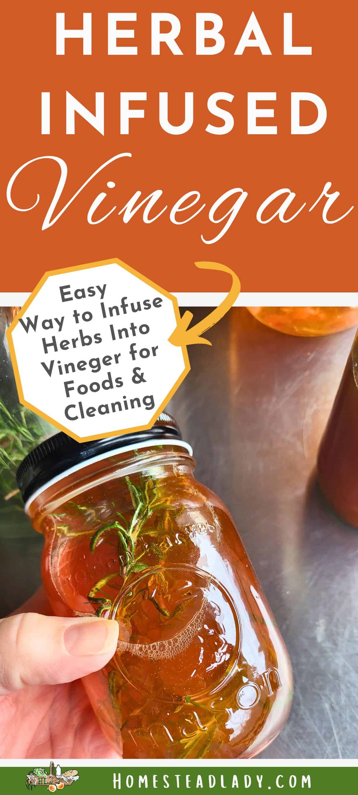 herbal infused vinegar with rosemary in a jar with a black lid