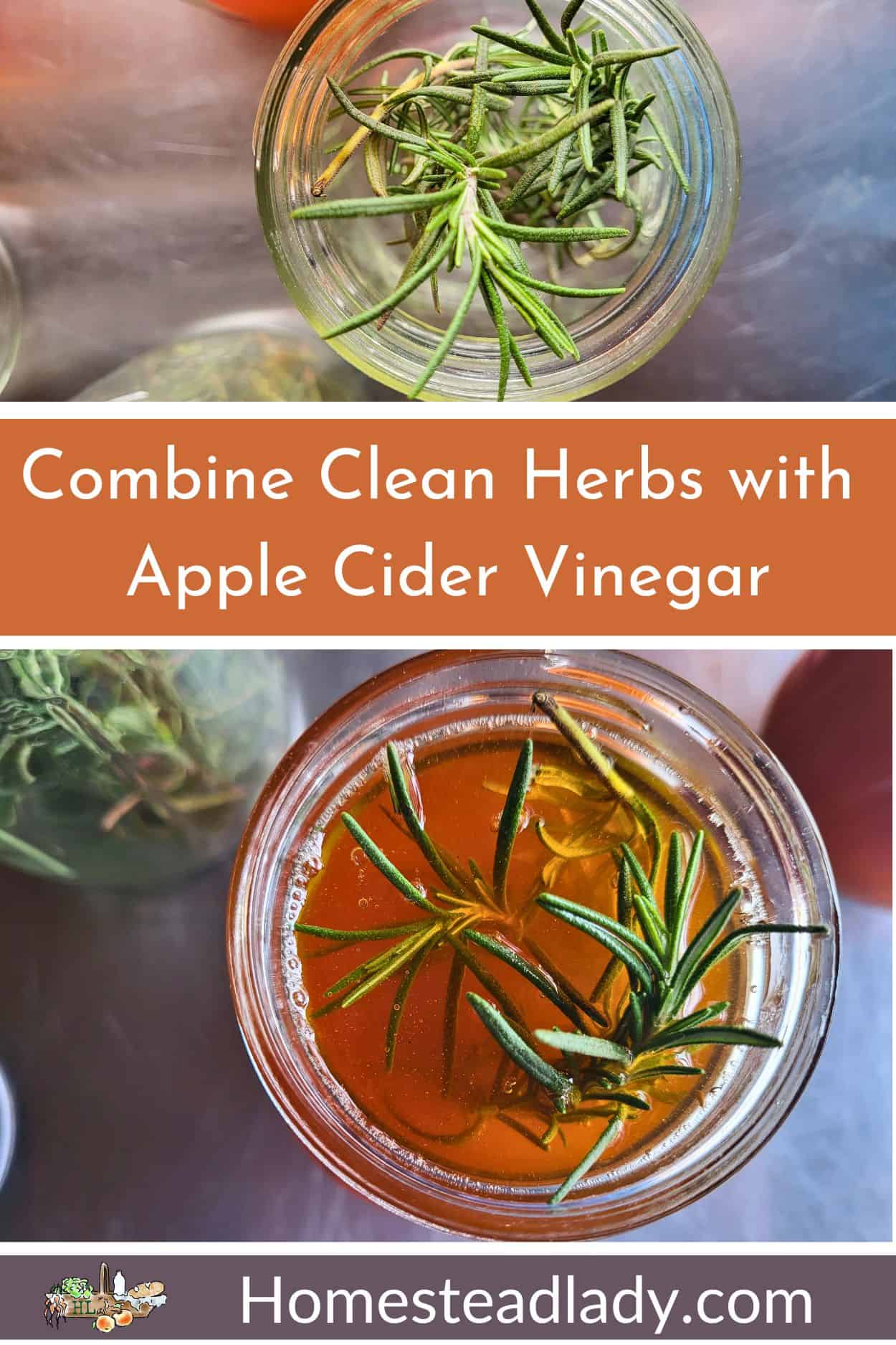 herbal infused vinegar in a jar on a metal table