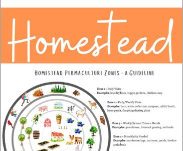 permaculture zone graphic