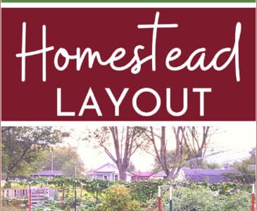 garden on a homestead