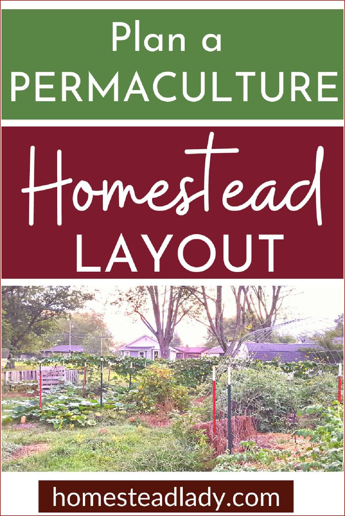 garden on a homestead