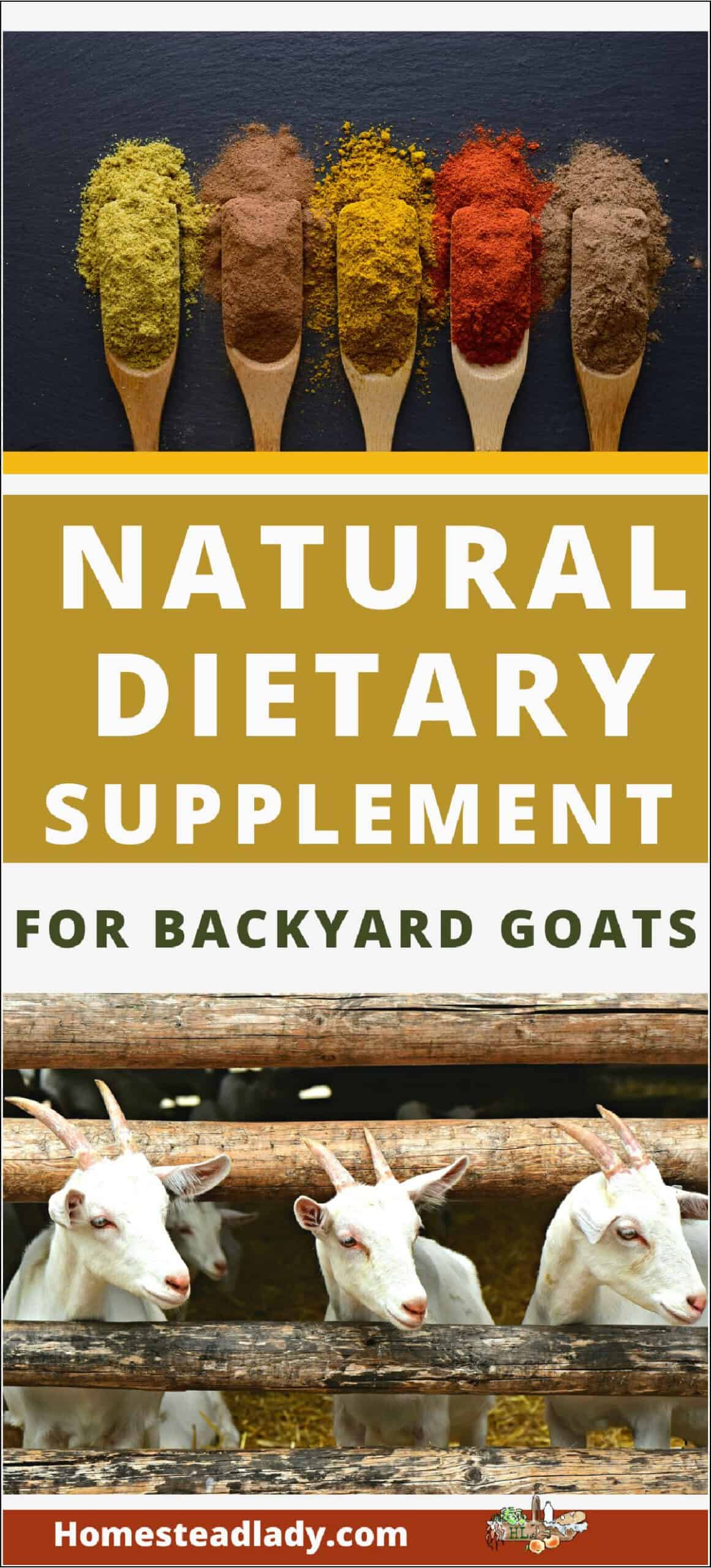 loose powdered herbs and spices; three cute goats behind a fence