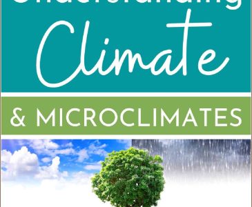 graphic representing different climates