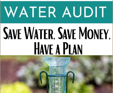 rainwater gauge in a garden to measure water